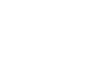 KOREA GAS SPRING